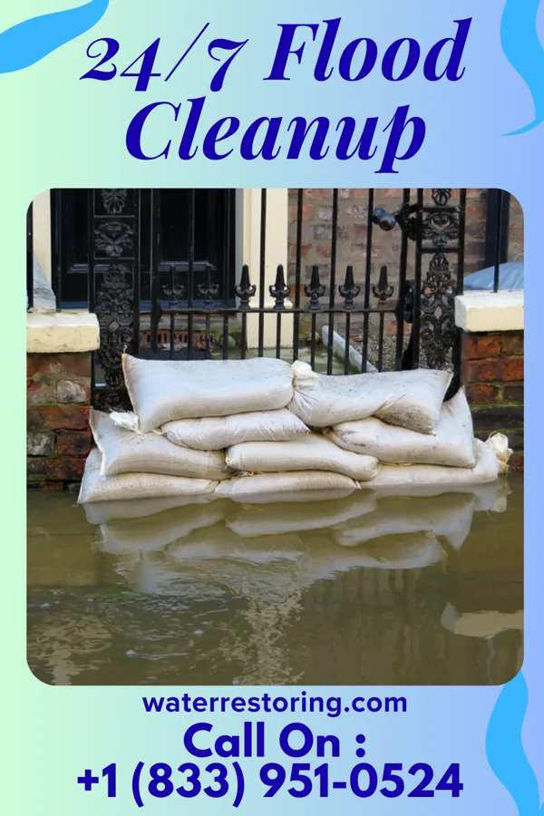 24/7 Flood Cleanup in Sandy Oaks, TX