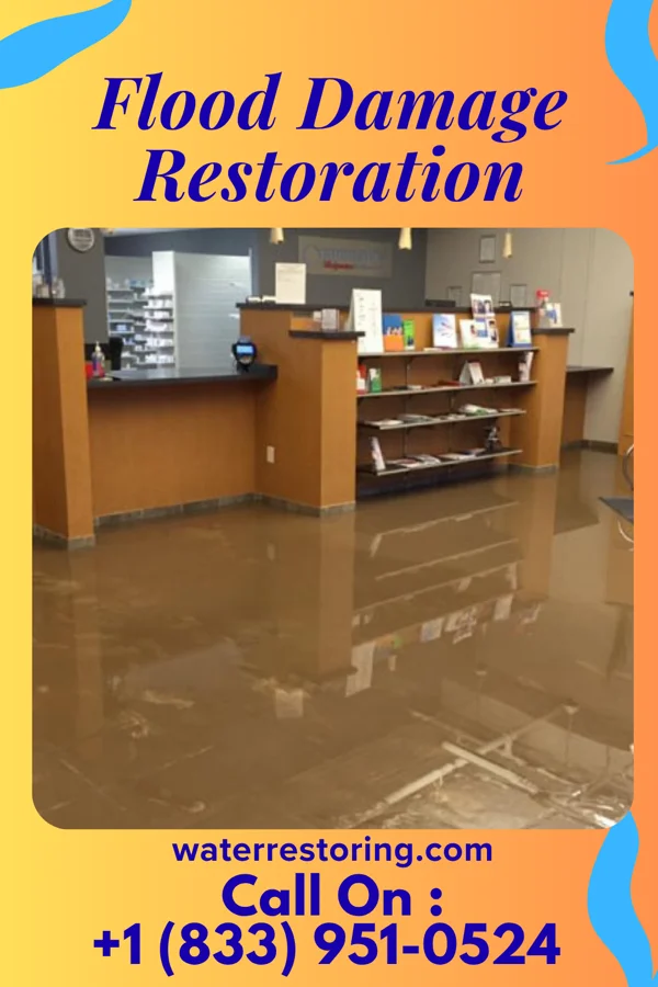 Flood Damage Restoration in Sandy Oaks, TX
