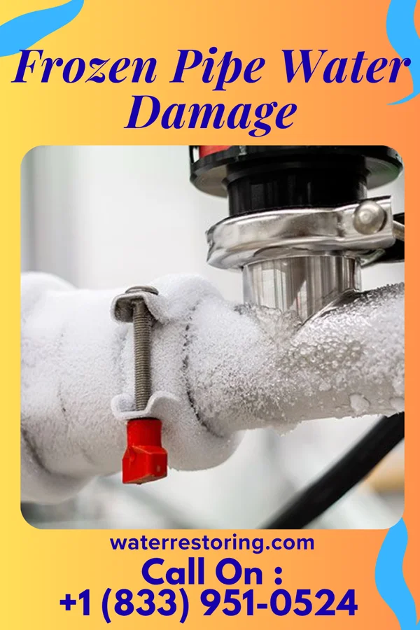 Frozen Pipe Water Damage in Sandy Oaks, TX