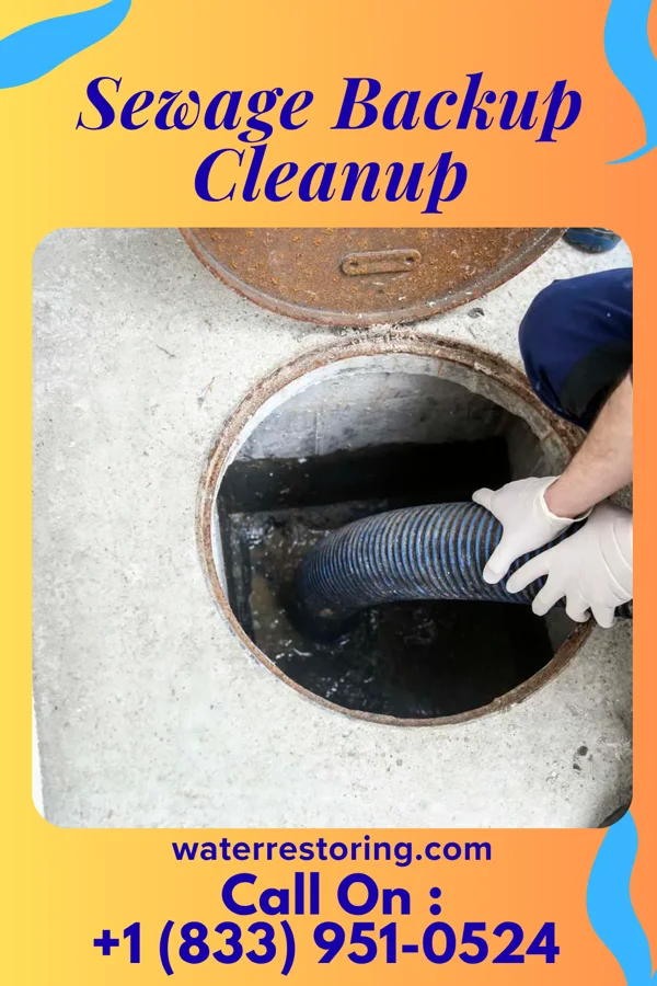 Sewage Backup Cleanup in Sandy Oaks, TX