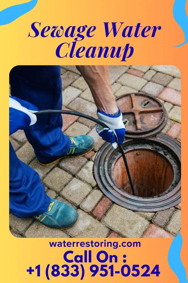 Sewage Water Cleanup in Sandy Oaks, TX