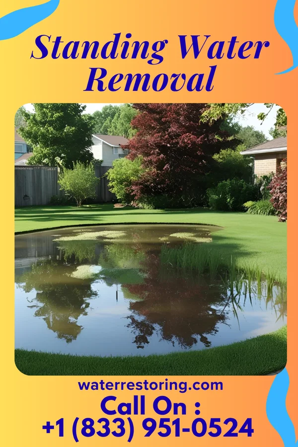Standing Water Removal in Sandy Oaks, TX